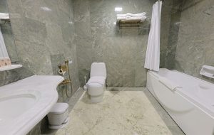 Gallery Thumbnail 10